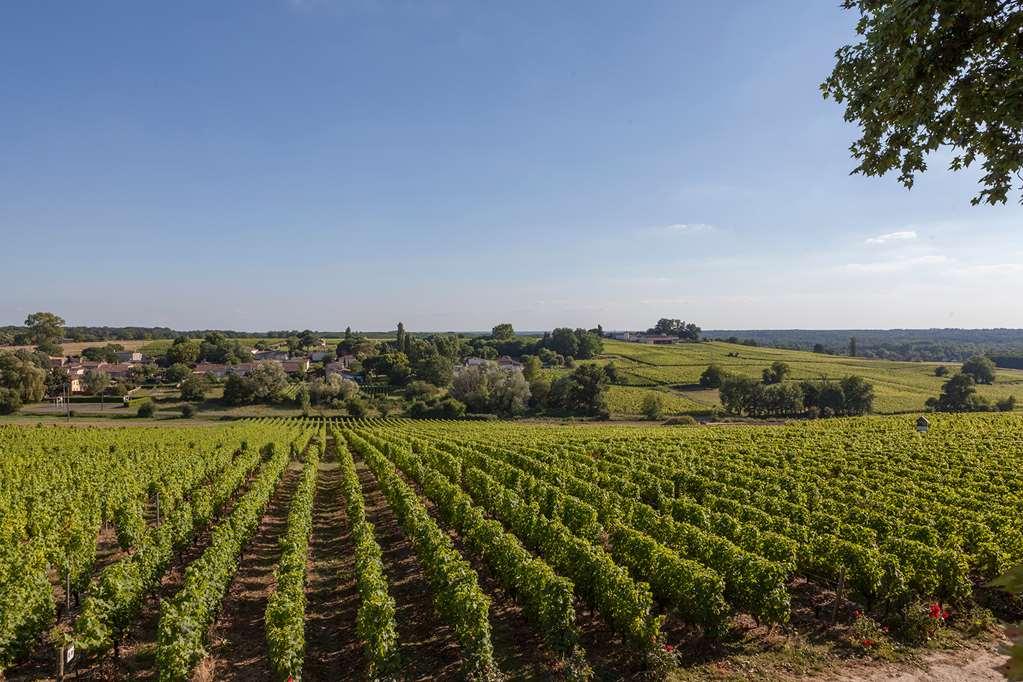 Chateau D'Arche, Grand Cru Classe De Sauternes Facilities photo
